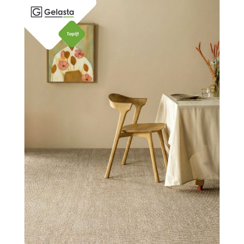 GELASTA BV | Rocco